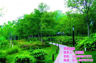 美墅建筑设计 ,园林绿化工程,江北园林绿化